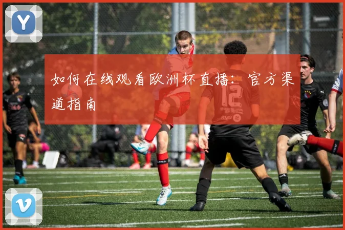 如何在线观看欧洲杯直播：官方渠道指南