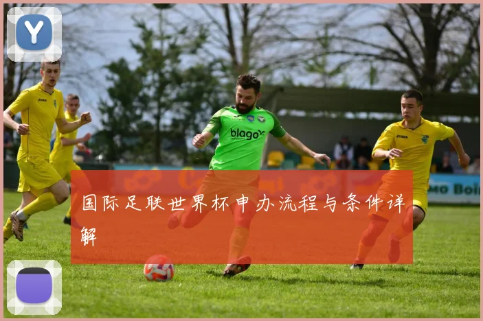国际足联世界杯申办流程与条件详解